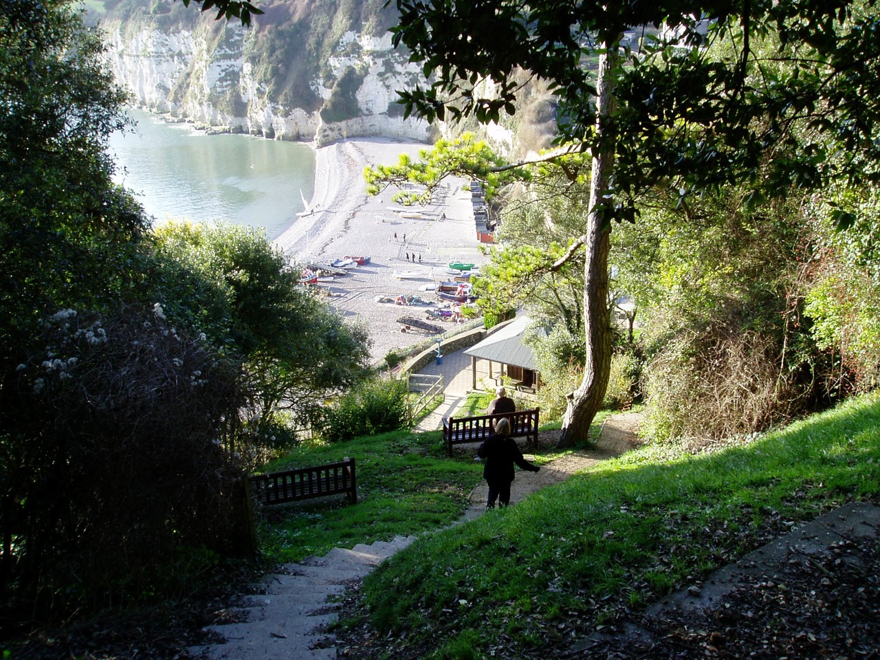 Beer, Devon